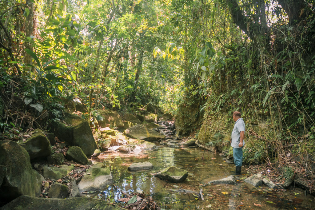 A man crosses a stream in a cacao grove in Belize