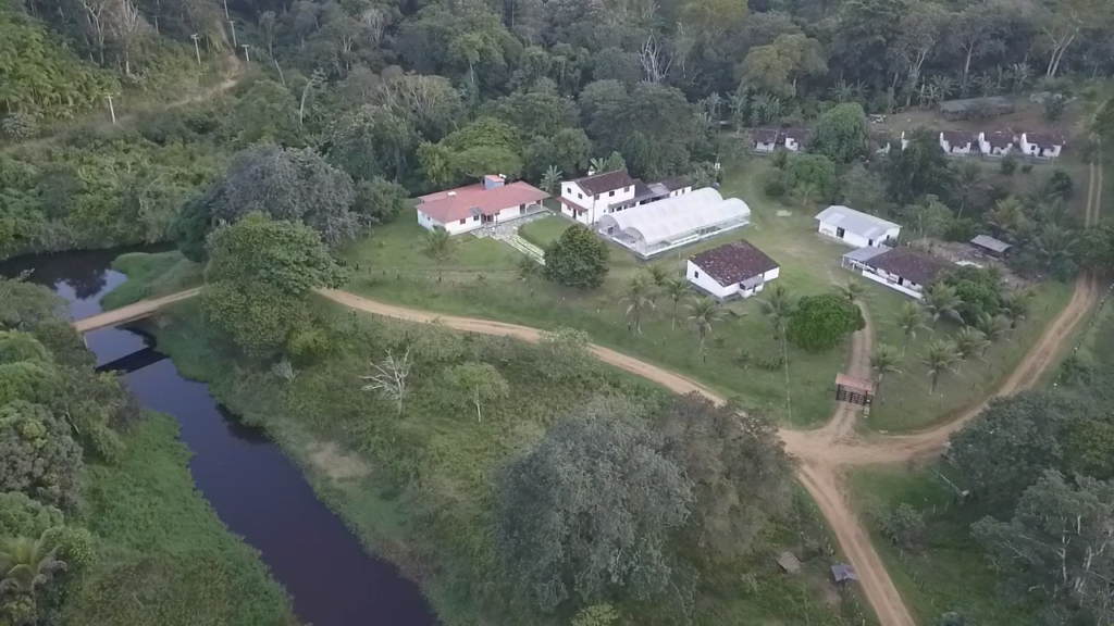 Cacao farm in Brazil