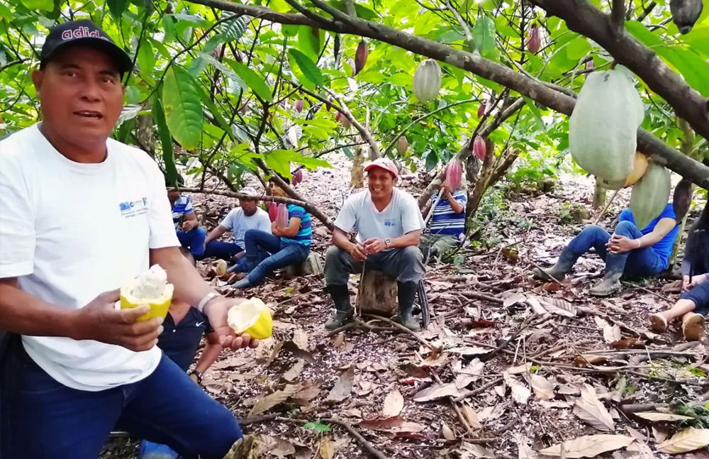 Cacao farmers at Productos Agroforestales de Petén -PAPSA-
