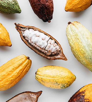 Cacao at centro del cacao guatemala